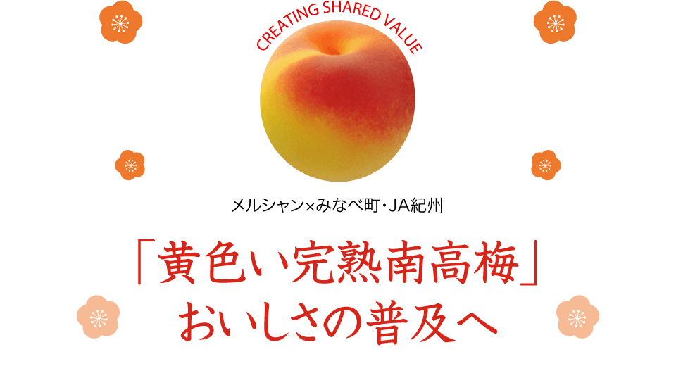 黄色い完熟南高梅 おいしさの普及へ 梅酒 果実リキュール 商品情報 キリン 黄色い完熟南高梅 おいしさの普及へ 梅酒 果実リキュール 商品情報 キリン