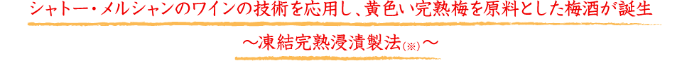 シャトー・メルシャンのワインの技術を応用し、黄色い完熟梅を原料とした梅酒が誕生～凍結完熟浸漬製法（※）～