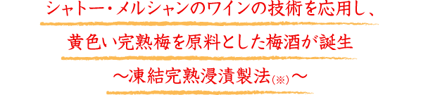 シャトー・メルシャンのワインの技術を応用し、黄色い完熟梅を原料とした梅酒が誕生～凍結完熟浸漬製法（※）～