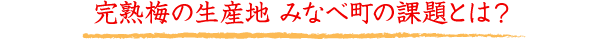 完熟梅の生産地 みなべ町の課題とは？