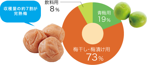 収穫量の約7割が完熟梅、青梅用：19%、梅干し・梅漬け用：73%、飲料用：8%