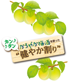 かろやか梅酒を使った　カンタン“健やか割り”