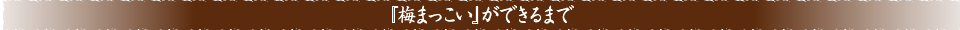『梅まっこい』ができるまで