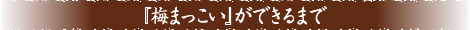 『梅まっこい』ができるまで
