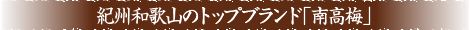 紀州和歌山のトップブランド「南高梅」