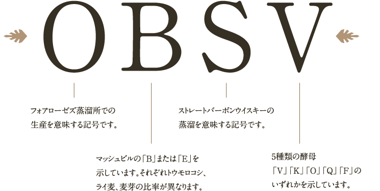 OBSV