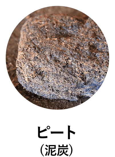 ピート(泥炭)
