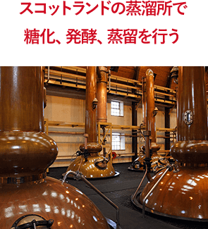 宮城峡、富士山麓、ホワイトホース ricaoh_188983gb