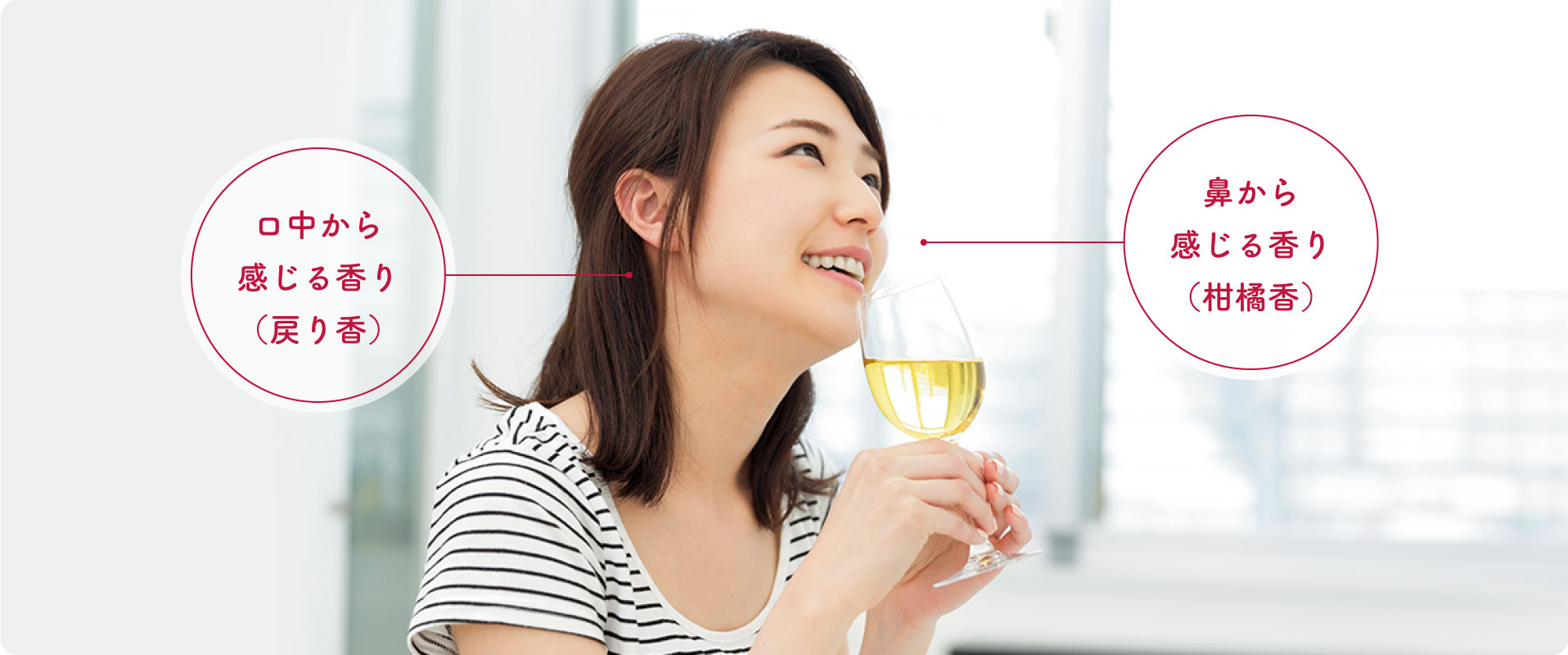 ロ中から感じる香り（戻り香）鼻から感じる香り（柑橘香）