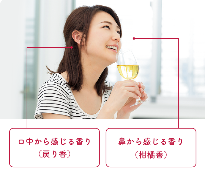 ロ中から感じる香り（戻り香）鼻から感じる香り（柑橘香）