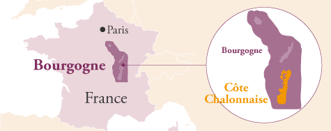 ドメーヌ・アデリー 地図