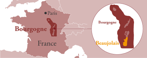 ドメーヌ・ド・ロシュグレ 地図