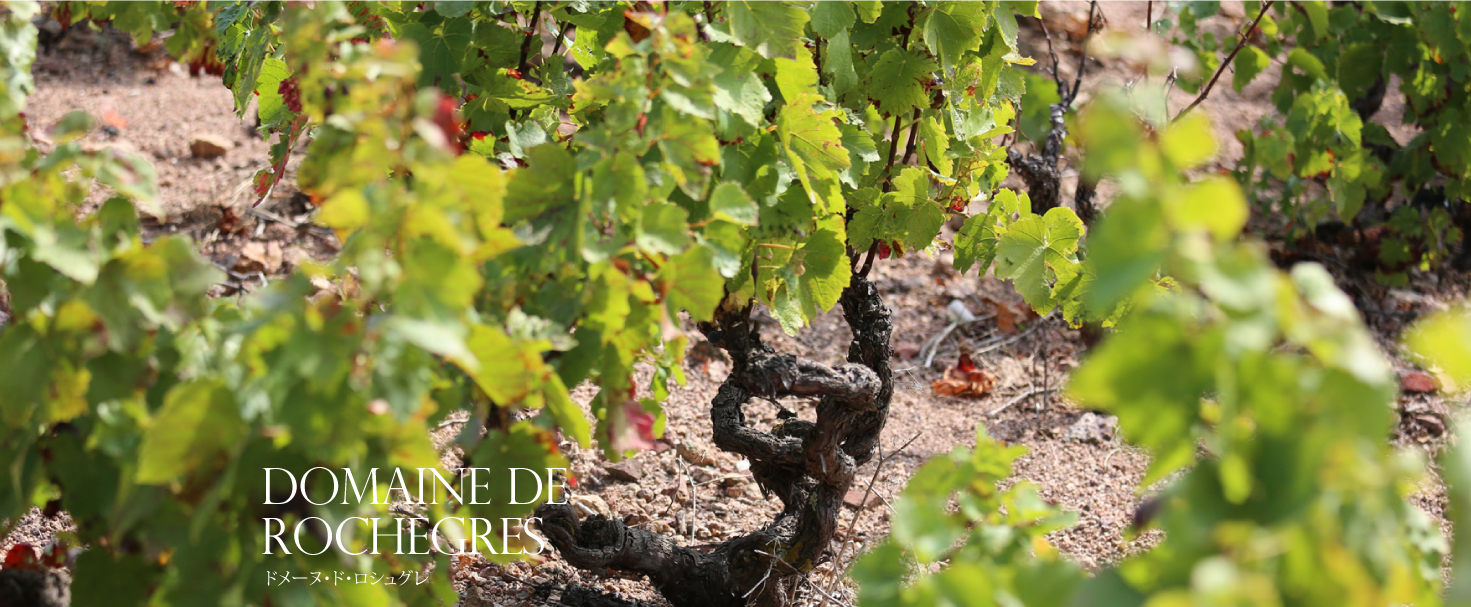 DOMAINE ROCHEGRES ドメーヌ・ド・ロシュグレ