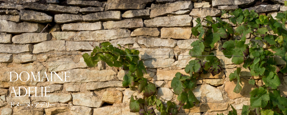 DOMAINE ADELIE ドメーヌ・アデリー