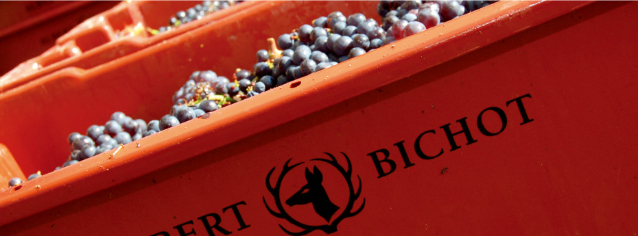 ドメーヌ・アデリー メルキュレ・プルミエ・クリュ シャン・マルタン イメージ写真