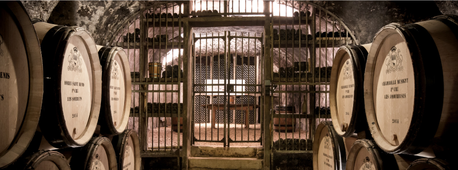 ドメーヌ・デュ・クロ・フランタン ヴォーヌ・ロマネ・プルミエ・クリュ レ・マルコンソール イメージ写真