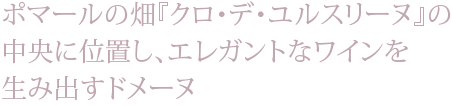 ポマールの畑『クロ・デ・ユルスリーヌ』の中央に位置し、エレガントなワインを生み出すドメーヌ