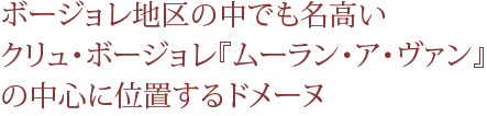 ボージョレ地区の中でも名高いクリュ・ボージョレ『ムーラン・ア・ヴァン』の中心に位置するドメーヌ