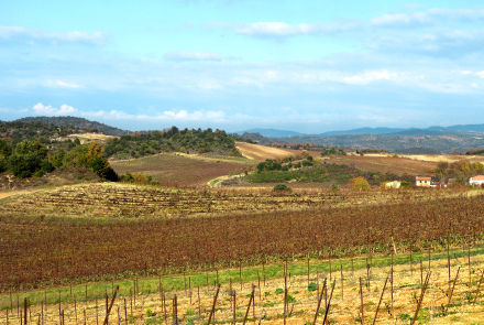 ランドック地区の風景