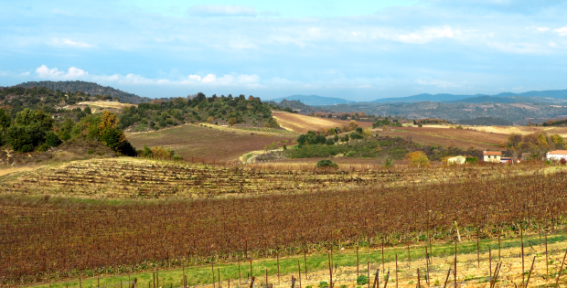 ランドック地区の風景