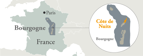 シャトー・グリ 地図