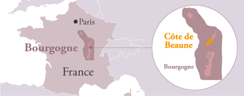 ドメーヌ・デュ・パヴィヨン 地図