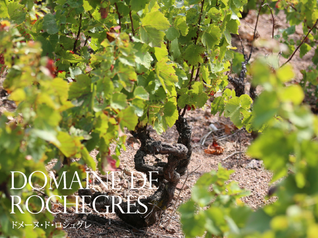 DOMAINE ROCHEGRES ドメーヌ・ド・ロシュグレ