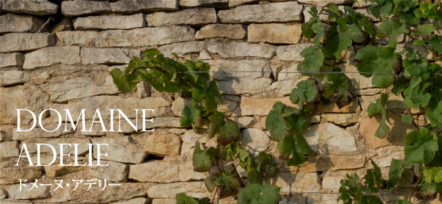 DOMAINE ADELIE ドメーヌ・アデリー