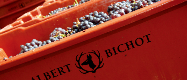 ドメーヌ・アデリー メルキュレ・プルミエ・クリュ シャン・マルタン イメージ写真