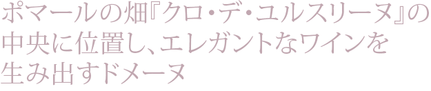 ポマールの畑『クロ・デ・ユルスリーヌ』の中央に位置し、エレガントなワインを生み出すドメーヌ