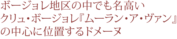 ボージョレ地区の中でも名高いクリュ・ボージョレ「ムーラン・ア・ヴァン」の中心に位置するドメーヌ