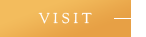 VISIT