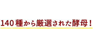 POINT02 140種から厳選された酵母!