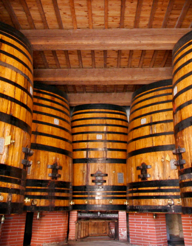 ドメーヌ・カズについてイメージ