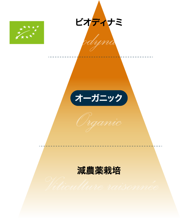 オーガニック