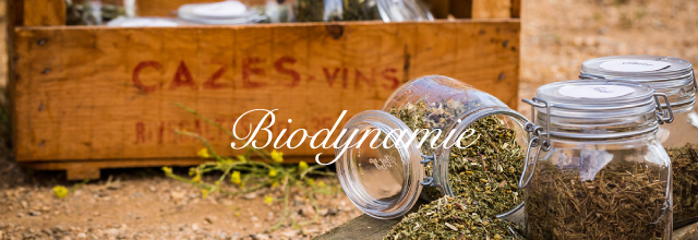 Biodynamie