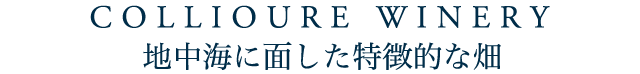 COLLIOURE WINERY 地中海に面した特徴的な畑