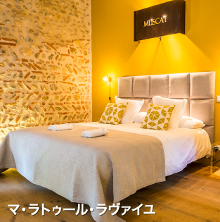 ワインツーリズムイメージ