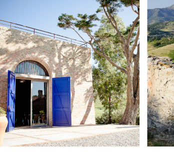 ドメーヌ・カズ イメージ