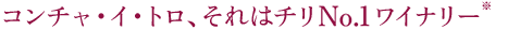 コンチャ・イ・トロ、それはチリNO.1 ワイナリー