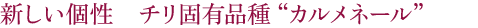 新しい個性　チリ固有品種“カルメネール”