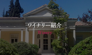 ワイナリー紹介