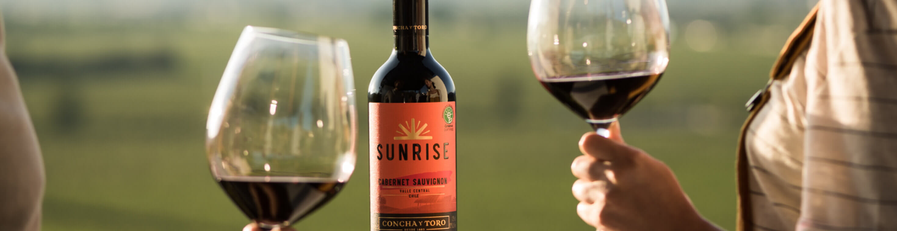 サンライズとは ABOUT SUNRISE