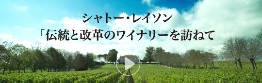 「伝統と改革のワイナリーを訪ねて」ムービーサイト