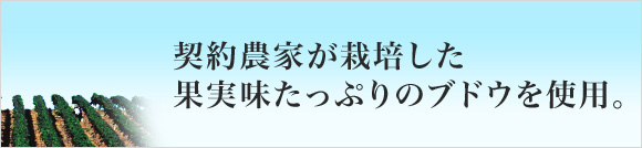契約農家が栽培した果実味たっぷりのブドウを使用。