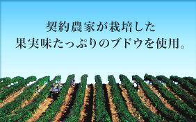 契約農家が栽培した果実味たっぷりのブドウを使用。