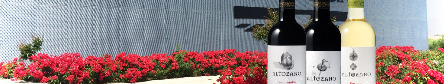 アルトザーノメイン画像