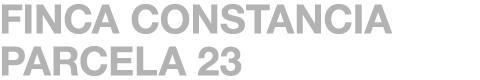 FINCA CONSTANCIA PARCELA 23