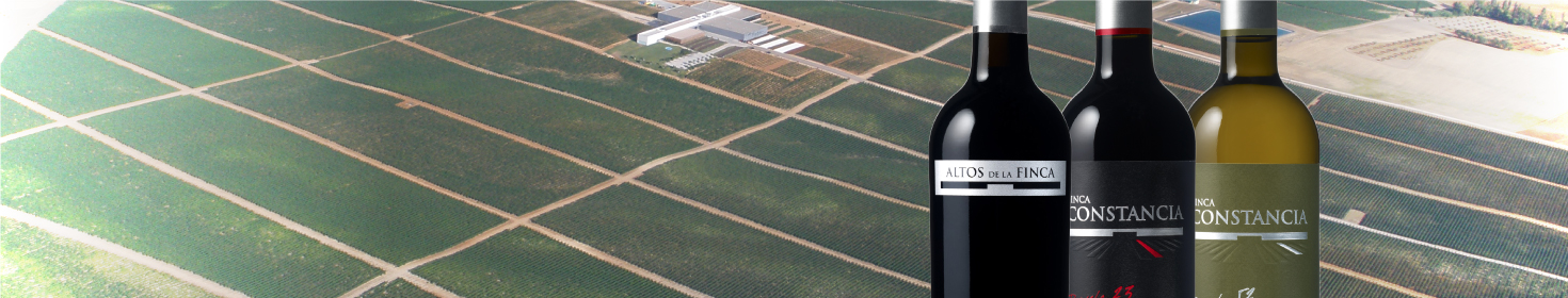 フィンカ・コンスタンシアメイン画像