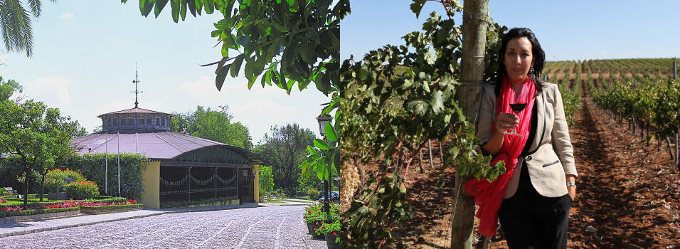 現在、そして未来へ 写真